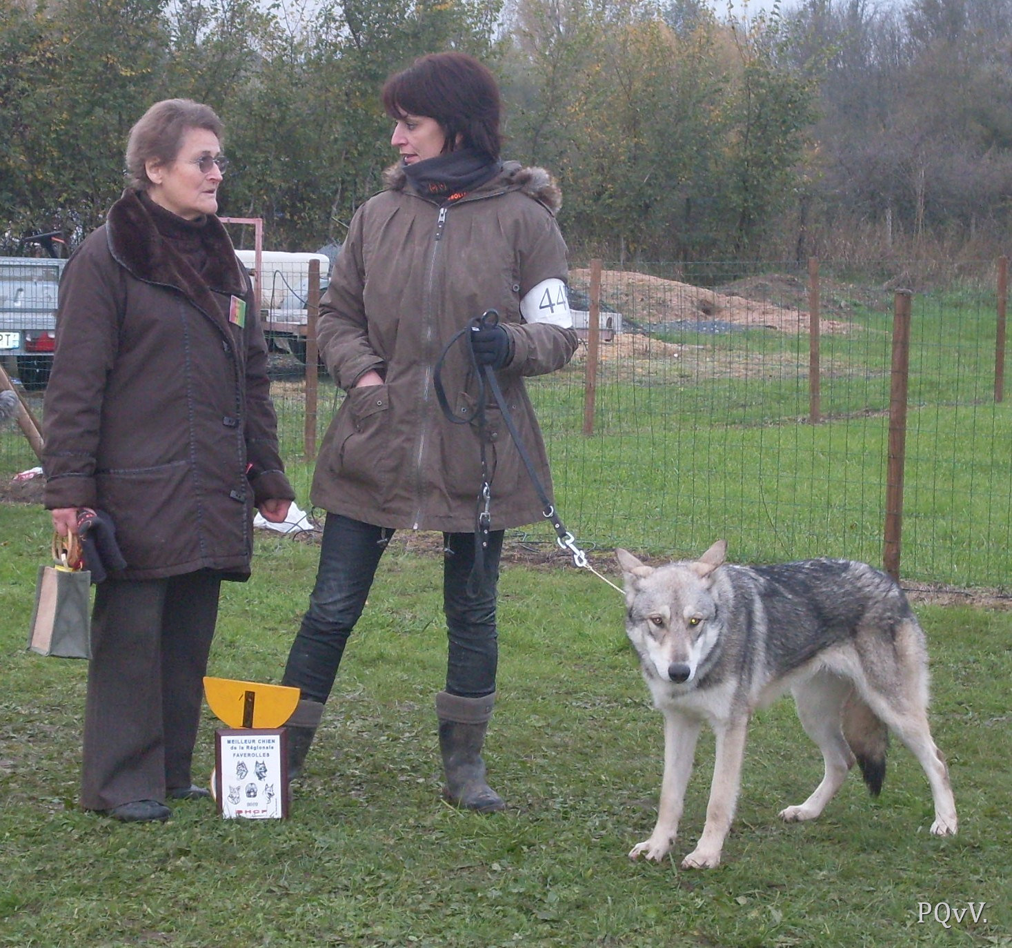  Gimini Criquette d’Angeli Fee, meilleur chien de l’exposition